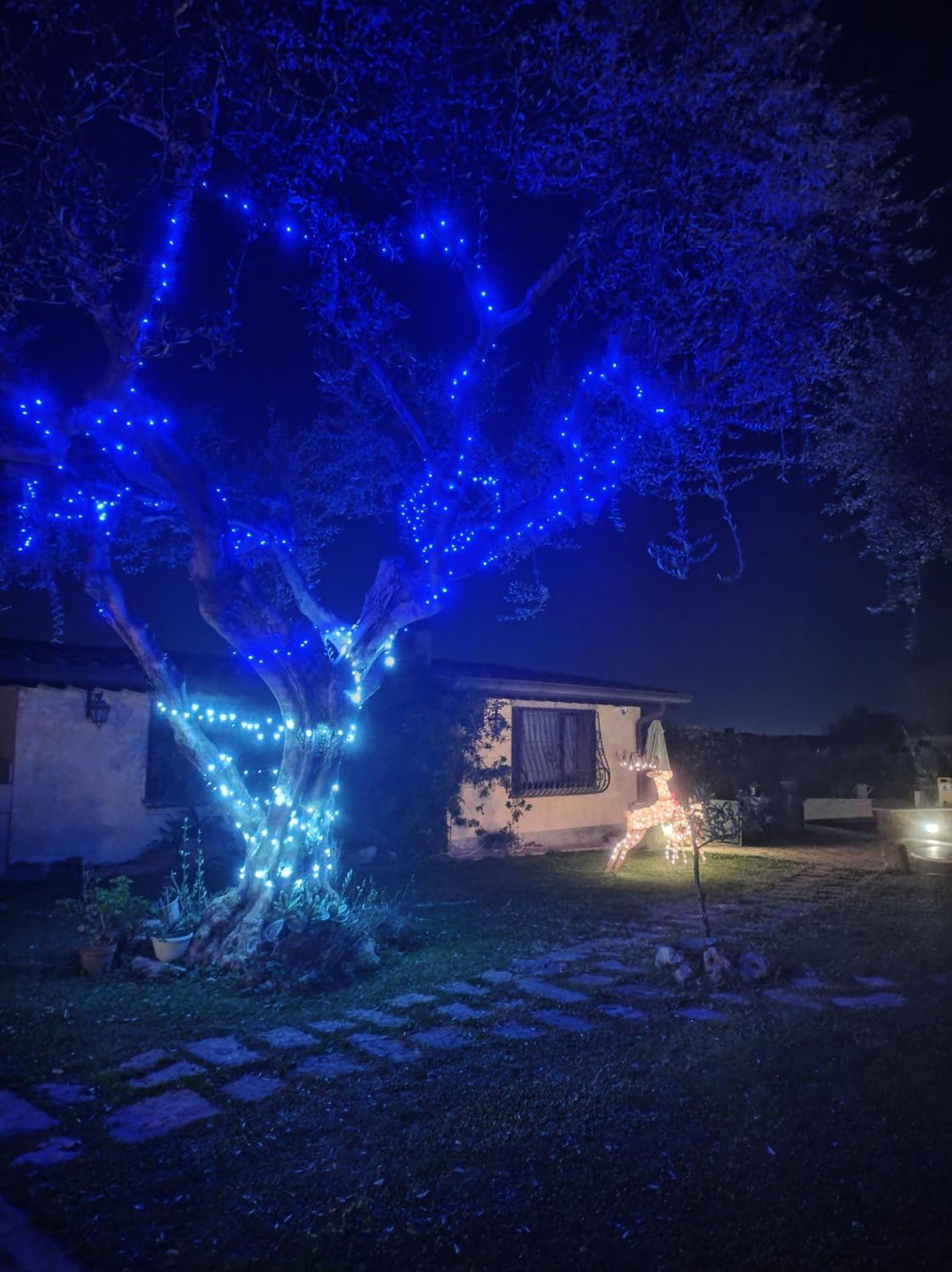 La Valle Dei Casali Com Frühstückspension 3*