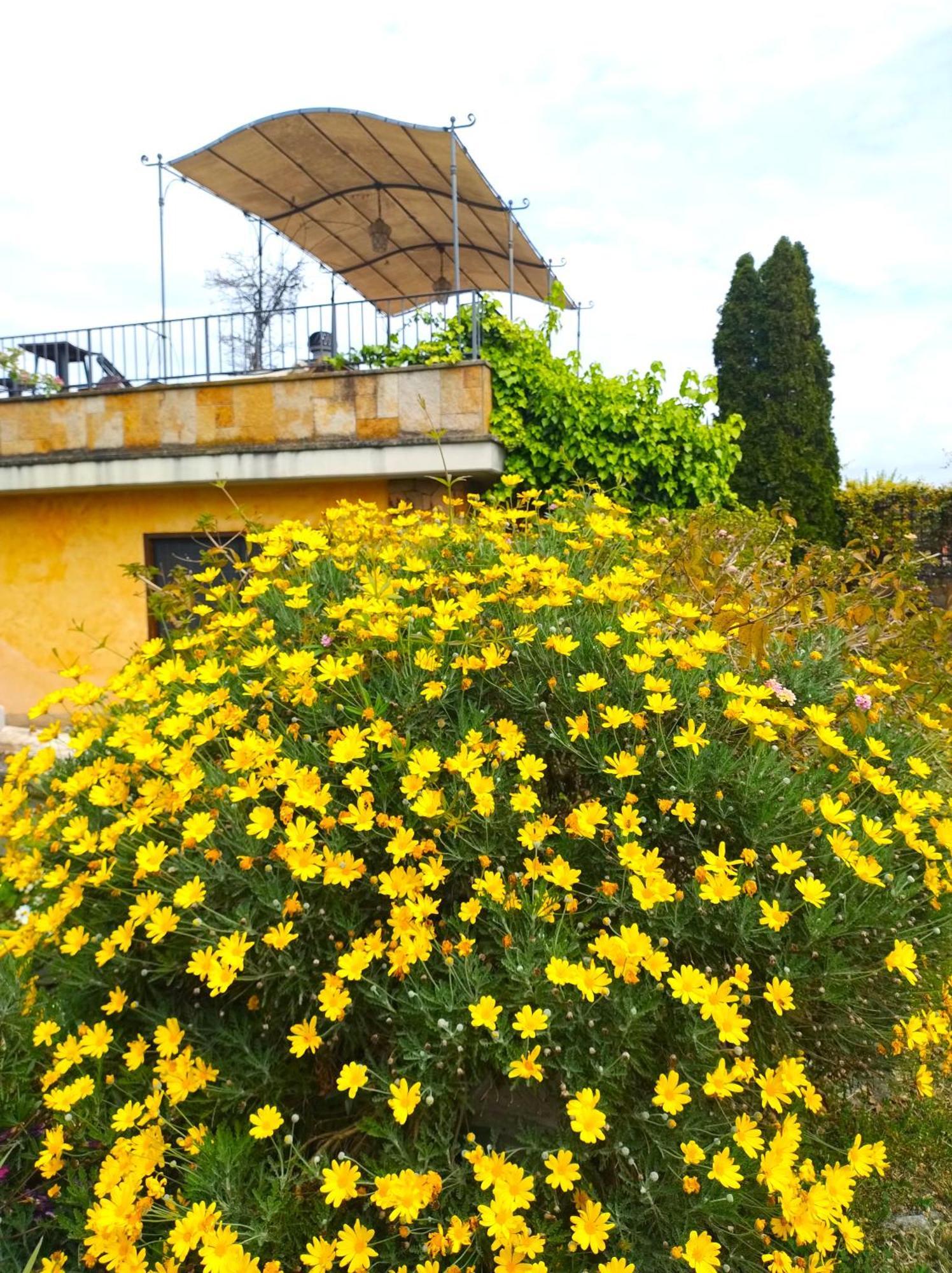 Frühstückspension La Valle Dei Casali Com